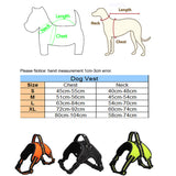 Big Dog Safety Vest/Harness