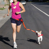 Running Leash Connector for Dogs