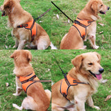 Big Dog Safety Vest/Harness