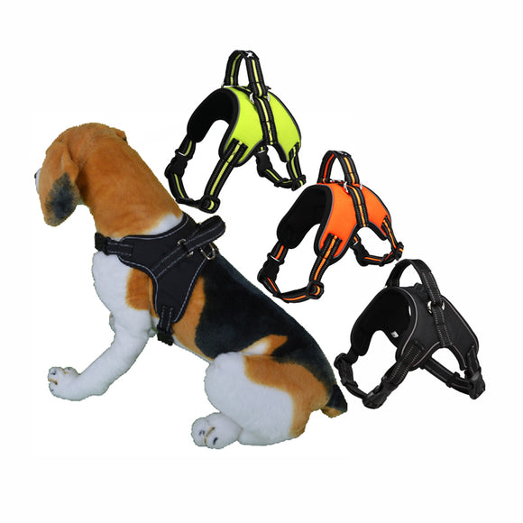 Big Dog Safety Vest/Harness